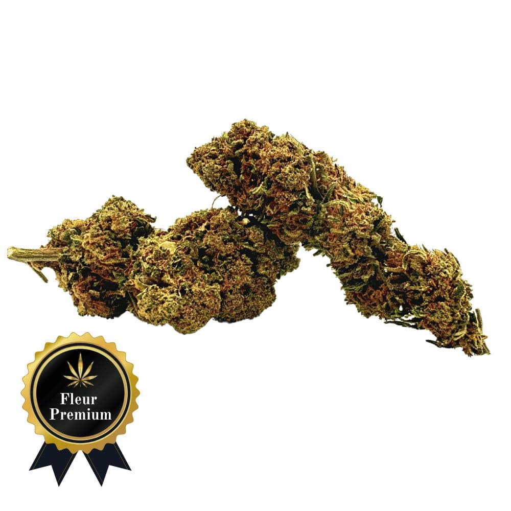 Image de Lemon Tonic Ext. Trop's 2g